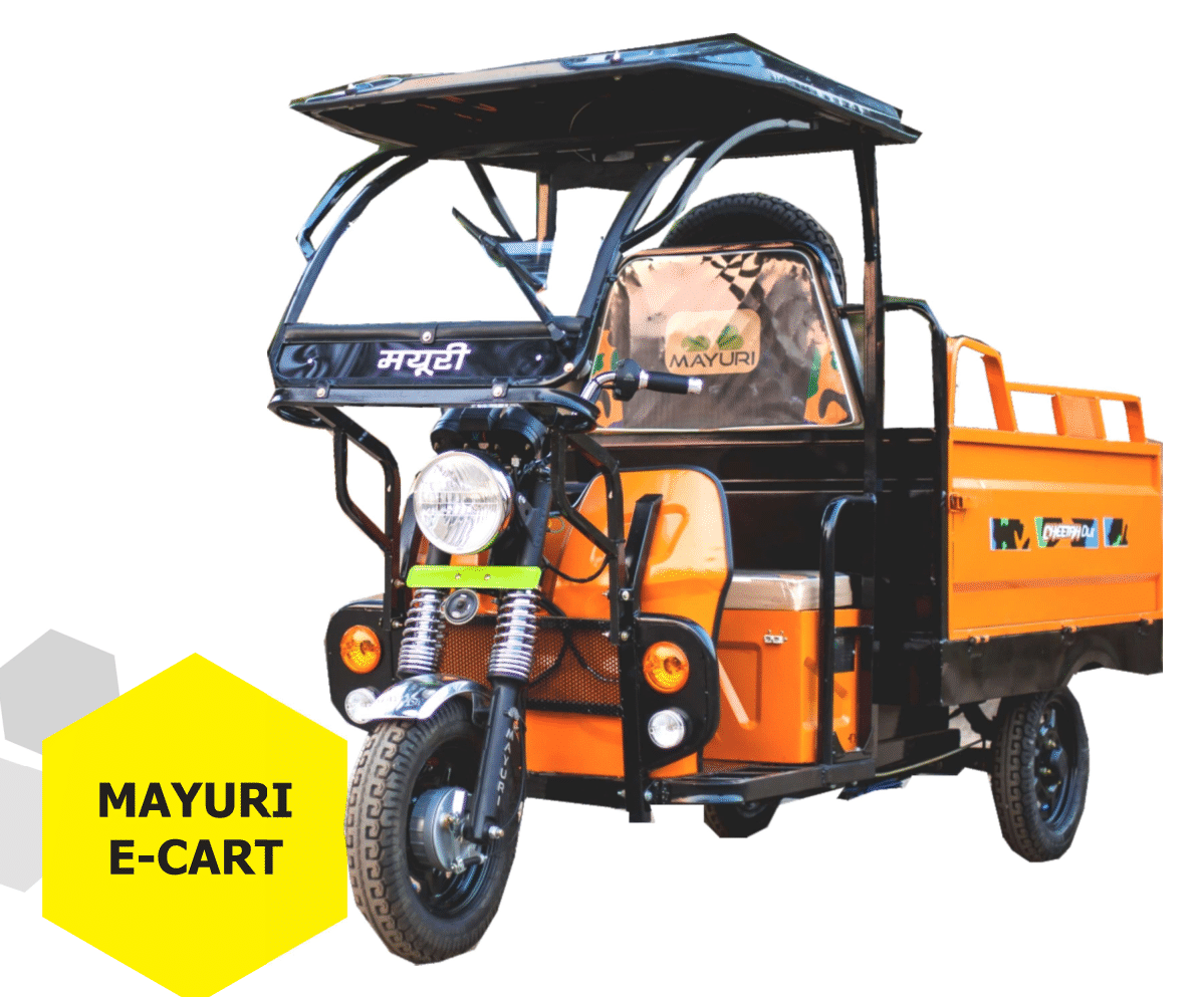 mayuri e-cart